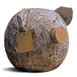 Ceramic Piggy Bank - Grunge Collection | Vintage Money Box Jar